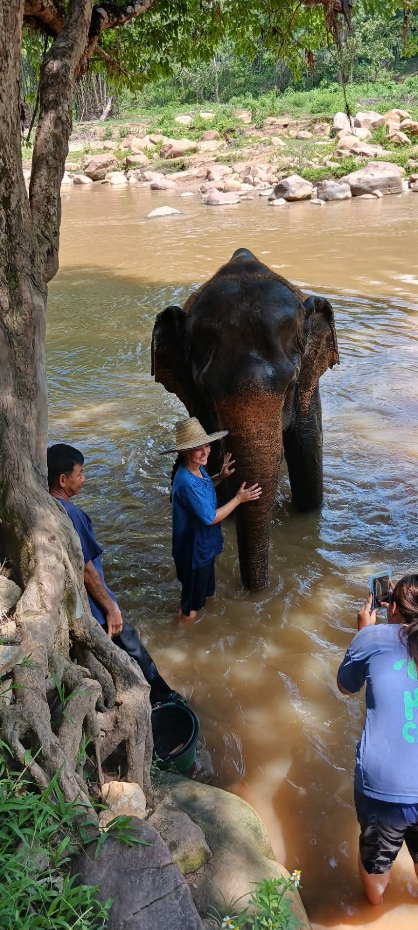 A visitor standing in the river reaching up to an elephant's trunk during the river bath in Mae Taeng, Chiang Mai
