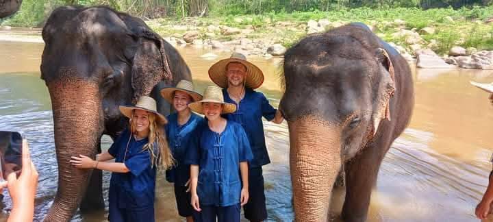 A family in blue mahout shirts standing in the river between two elephants in Mae Taeng, Chiang Mai