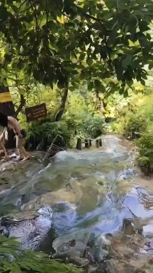 Water running over the grippy limestone rock of the Sticky Waterfall (Bua Tong) near Chiang Mai